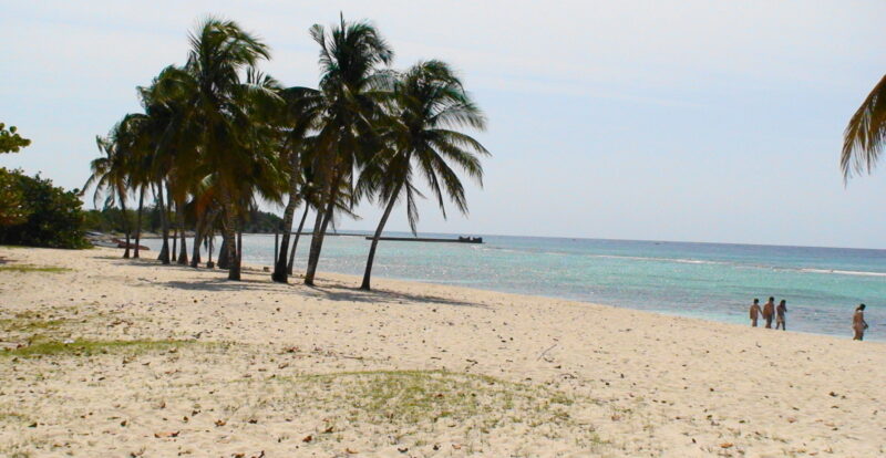 Playa Giron, East Coast. 200m. From the Hotel Playa Giron