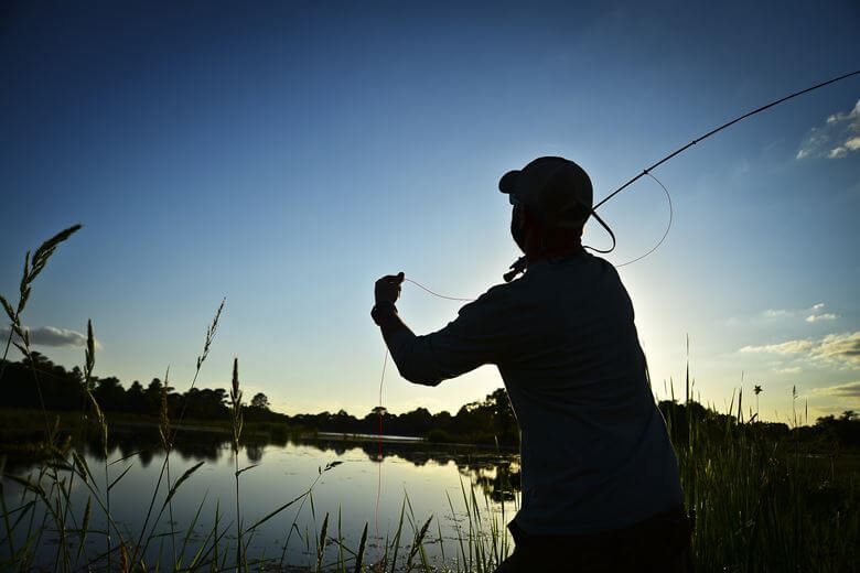 Fluefisker ved sø i skumringen