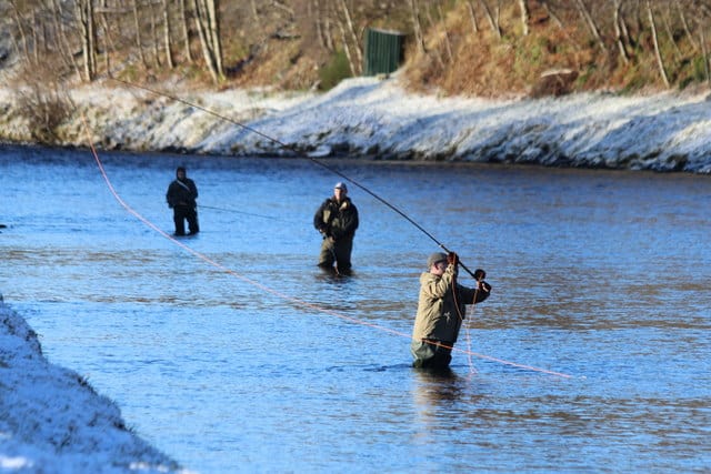 Spey kast